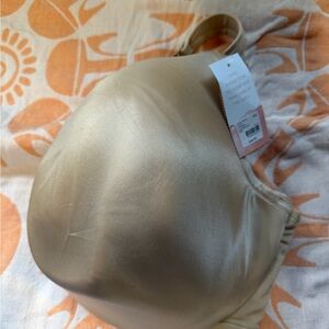 Lane Bryant Cacique Beige Full Coverage Padded Bra 44G NWT